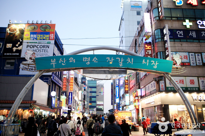 Jagalchi Market | Korean Food | Korean Culture | Seafood Market