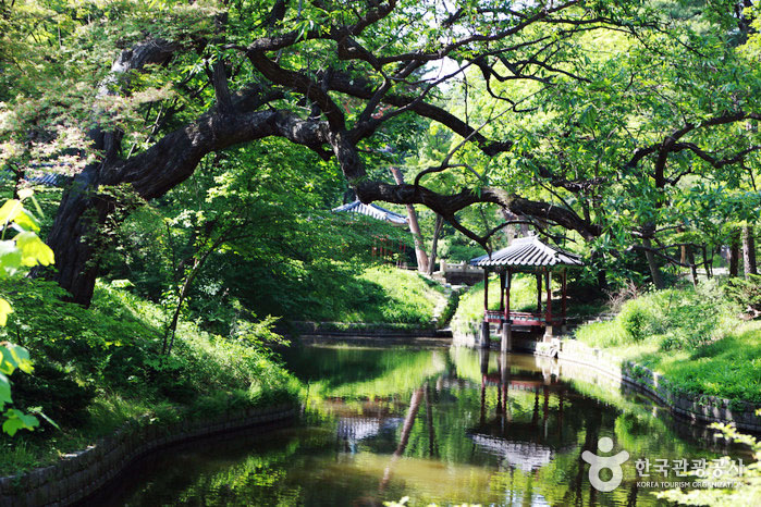 Changdeokgung Secret Garden Beautiful Palace Seoul