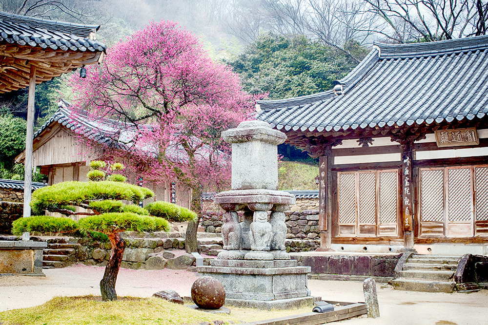 화엄사 화엄사