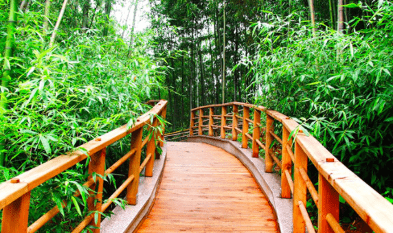 Juknokwon Bamboo Forest Confucian School Waterfall South Korea