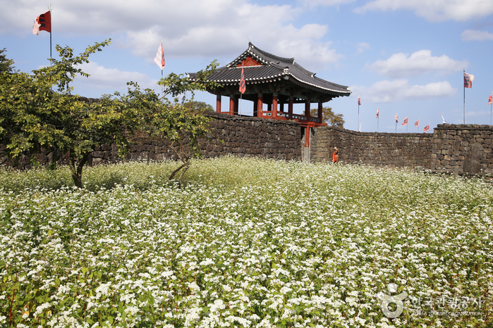 Seongeup Folk Village
