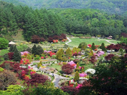 The Garden of Morning Calm