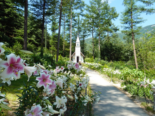 The Garden of Morning Calm