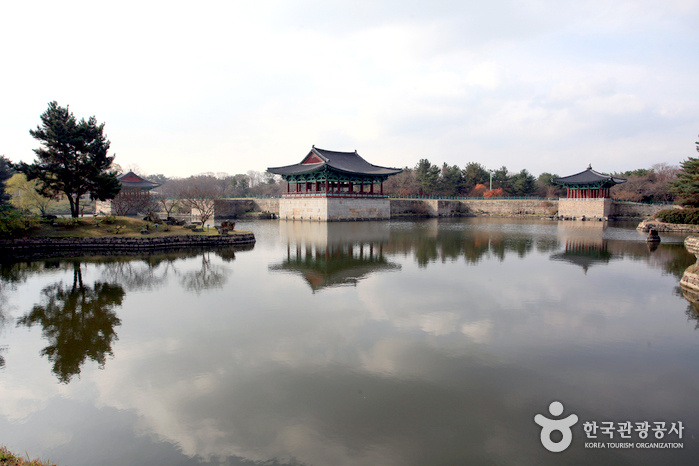 Пруд анапжи