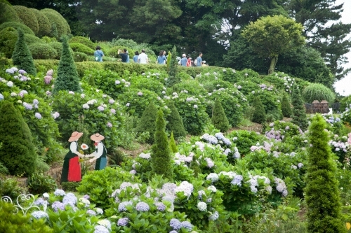 Оэдо-Ботания