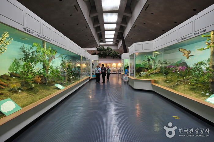 Jeju Folklore & Natural History Museum