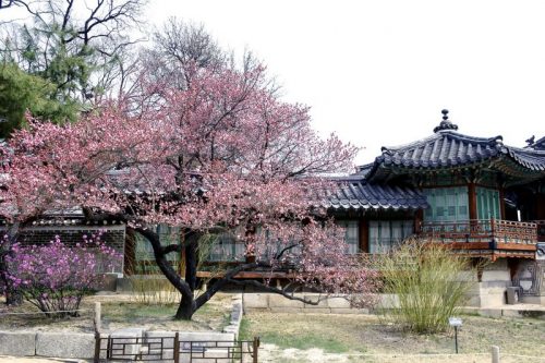 Changdeokgung Palace