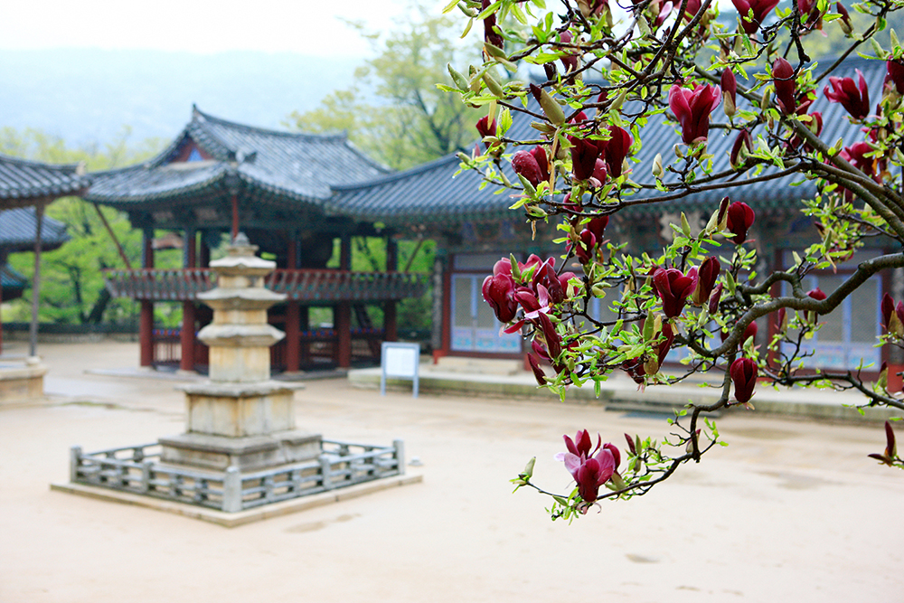 Tongdosa Temple