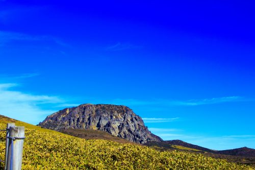 Hallasan National Park [UNESCO World Heritage]