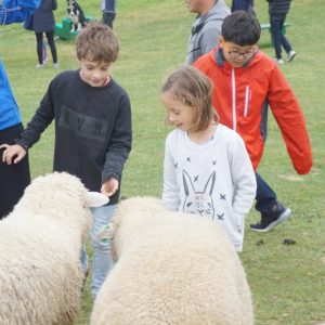 09/24-10/05 Korea Tour from Spain