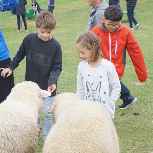 09/24-10/05 Korea Tour from Spain