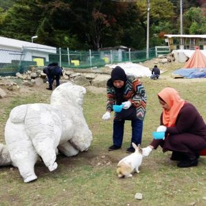 10/22-10/29 Korea Muslim Private Package Tour
