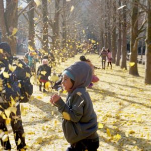 11.16-11.20 Korea Tour from Singapore