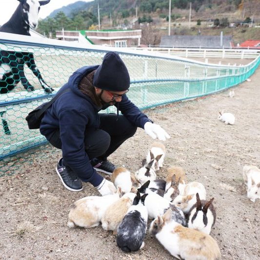 11.16-11.20 Korea Tour from Singapore