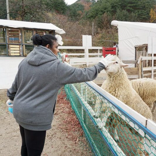 11.16-11.20 Korea Tour from Singapore