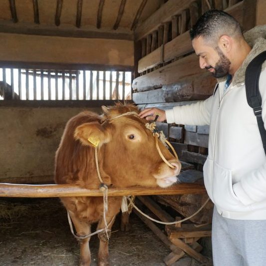 12/29-01/06 Korea Tour from Kuwait