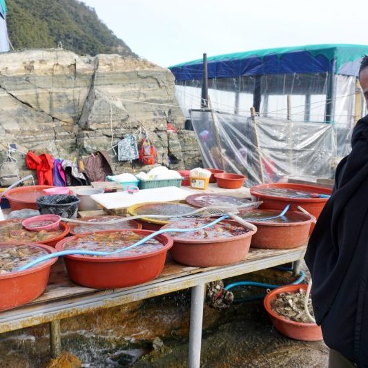 12/29-01/06 Korea Tour from Kuwait