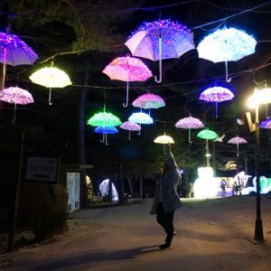 2/3, 2/5 Korea Tour from Malaysia