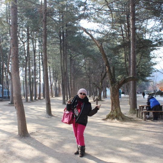 2/20-24 Korea Tour from Philippines