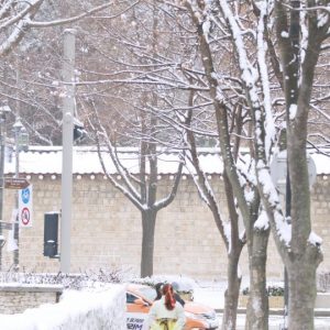 12.15-12.19, Myanmar Incentive Group Tour in Korea Winter