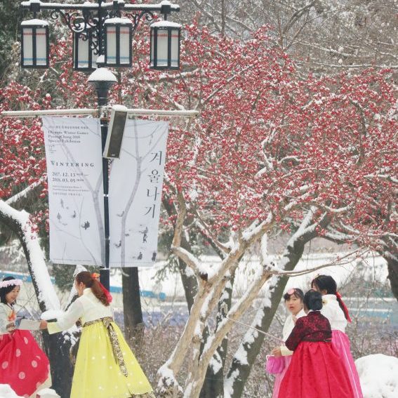 12.15-12.19, Myanmar Incentive Group Tour in Korea Winter