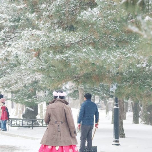 12.15-12.19, Myanmar Incentive Group Tour in Korea Winter