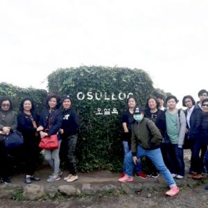 10/19-10/26 Korea Private Tour (Seoul + Jeju)
