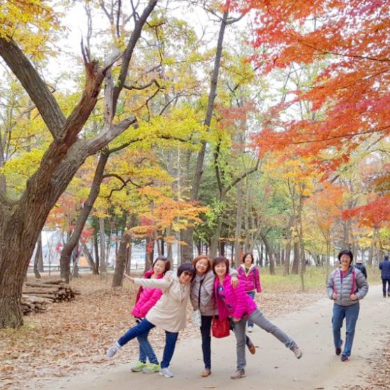 10/27-11/03 Korea Tour from Malaysia