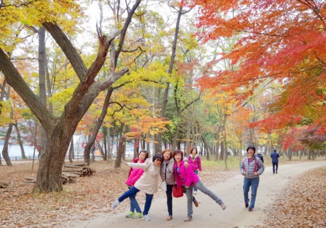 10/27-11/03 Korea Tour from Malaysia