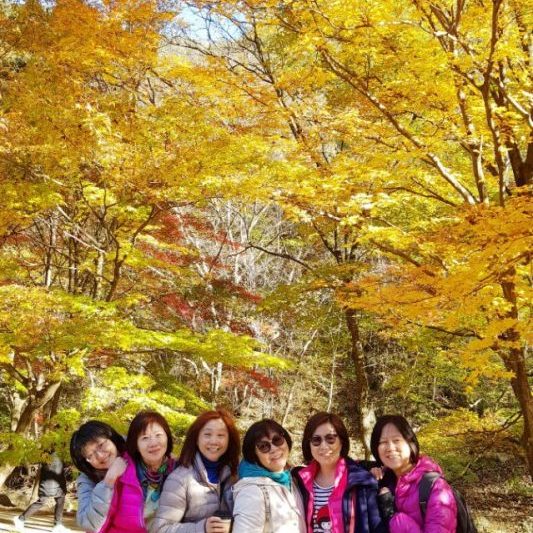 10/27-11/03 Korea Tour from Malaysia