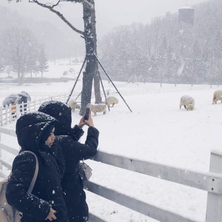 12.24 Gangwon-do Province Tour from Singapore