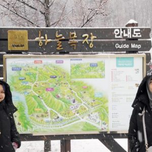 12.24 Gangwon-do Province Tour from Singapore