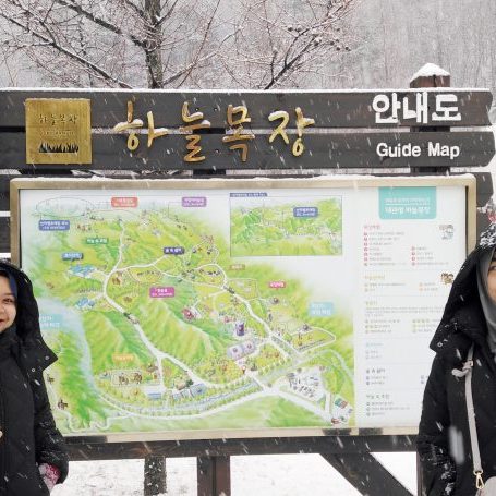 12.24 Gangwon-do Province Tour from Singapore