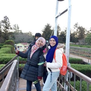 12.27 Jeju Island Tour from Singapore