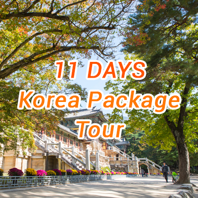 11 Days Korea Package Tour