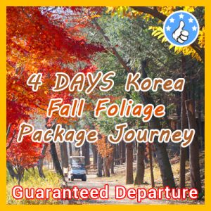 4 Days Korea Fall Foliage Package Journey