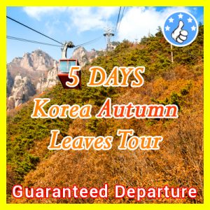 5 Days Korea Autumn Leaves Tour