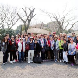 3/23-25 Busan, Jeju, Seoul Cruise Tour from Canada