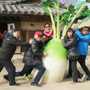 3/23-25 Busan, Jeju, Seoul Cruise Tour from Canada