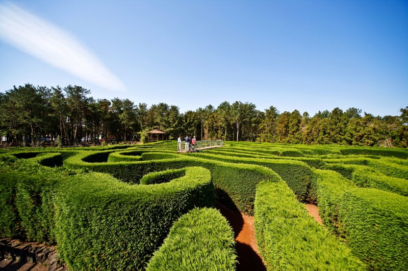 Maze Land Jeju