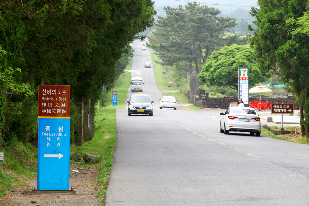 1 DAY Jeju Tour - South Course [Join In Group Tour] | Jeju island bus tour