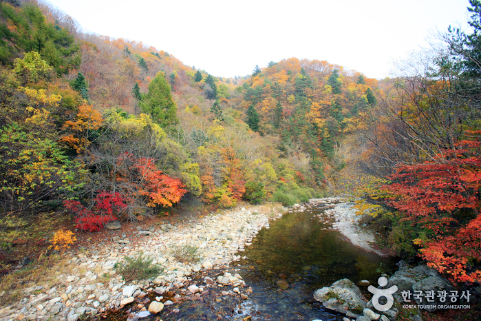 오대산 국립 공원