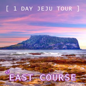 1Day Jeju Tour - East Course