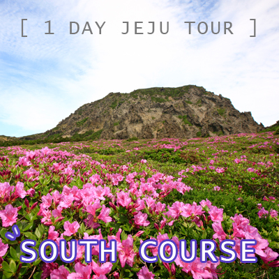 1Day Jeju Tour - South Course