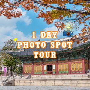 1Day Photo Spot Tour