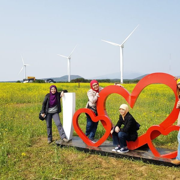 3/30-4/3 Korea Tour from Singapore