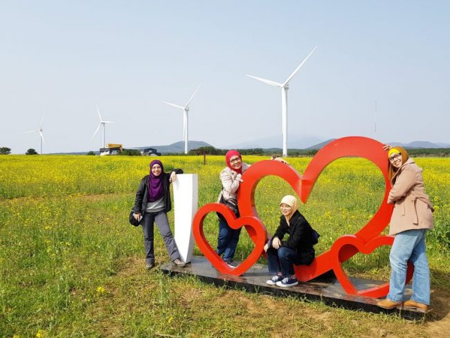 3/30-4/3 Korea Tour from Singapore