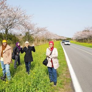 3/30-4/3 Korea Tour from Singapore