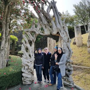 3/30-4/3 Korea Tour from Singapore