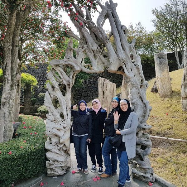 3/30-4/3 Korea Tour from Singapore